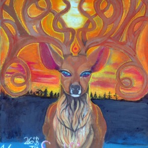 016-Solfire-Yoga-Norm-Ayles