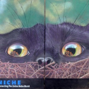 083-084-Niche-Andrea-Johnson