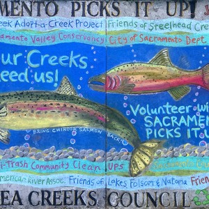 2022-sq182-by-Allyson-Seconds-and-Debra-van-Hulsteyn-for-Sacramento-Picks-It-Up