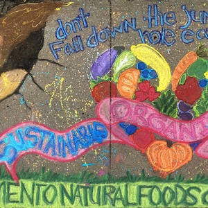 2022-sq28-by-Chandra-Merod-for-Sacramento-Natural-Foods-Co-Op