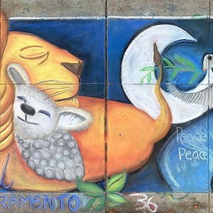 2022-sq35-by-Janese-Armstrong-for-Chill-Sacramento