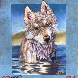 2022-sq71-by-Miya-Johnston-for-Sacramento-SPCA