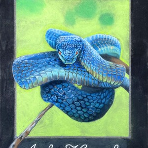 2022-sq75-by-Amanda-Maurer-for-Amber-Hosue-Inn