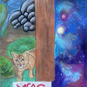2024-sq30-by-Nicole-Casarino-for-SMUD-MOSAC-small
