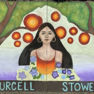 2024-sq7-for-Purcell-Stowell-PC