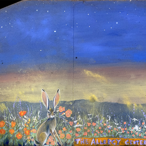 2024-sq92-by-Fleur-Fenner-for-The-Allergy-Center-at-Sacramento-ENT